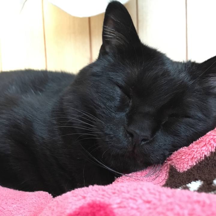 6db739ab 6dd8 47da 86e5 ad588f271981