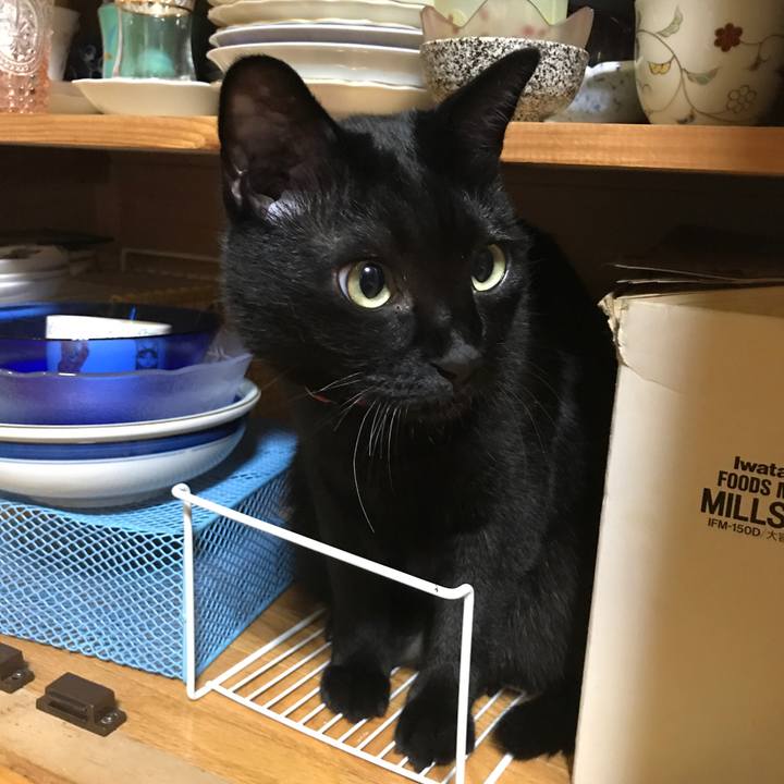 6db746d9 2cf9 4f8e a1f6 3c25fe6ff28c