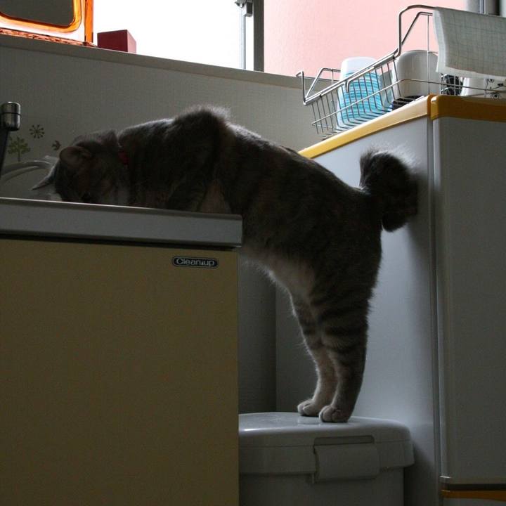 6db76284 4e17 48d1 9b06 88490de0bcbb