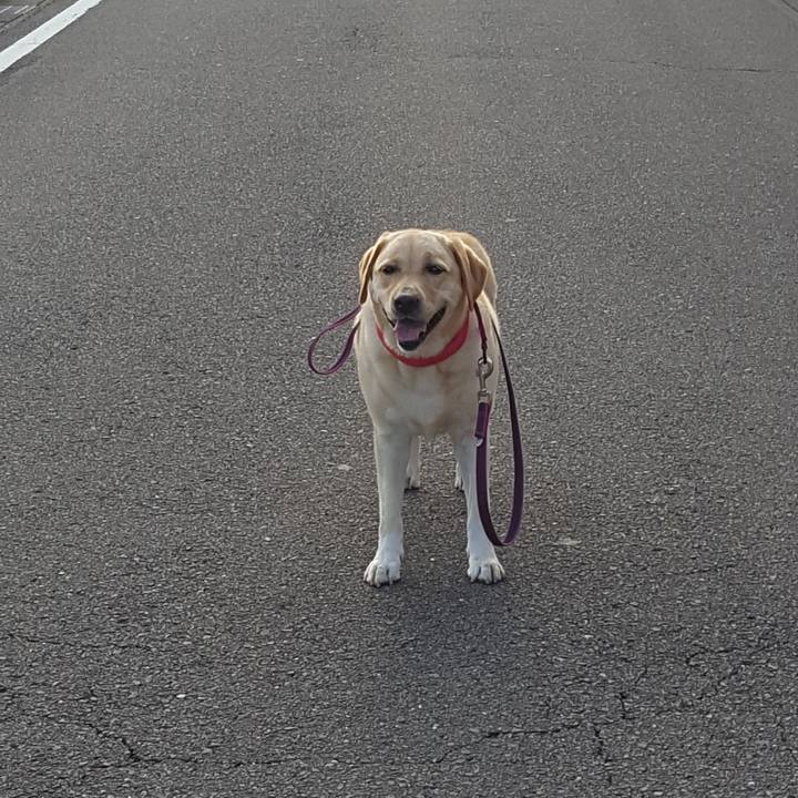 6db7cc67 b9fb 4446 9f53 956c8862d298