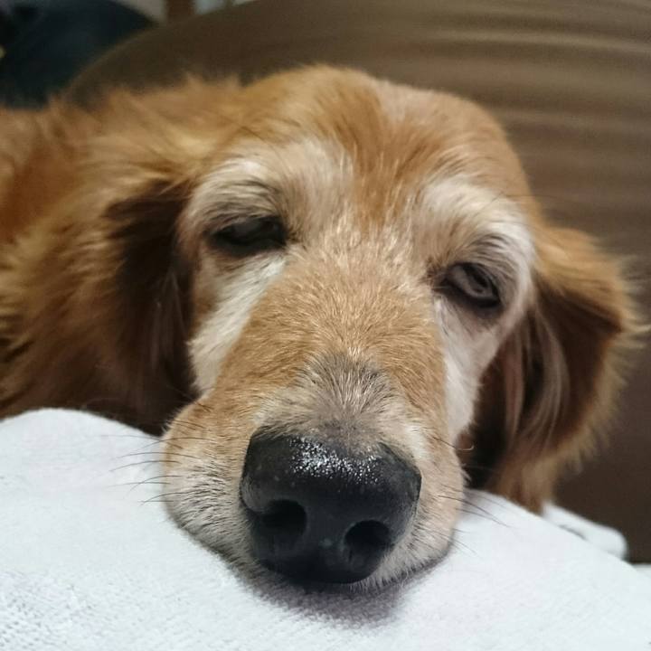 6db7f124 b3a4 4647 b53d 0c158c049682