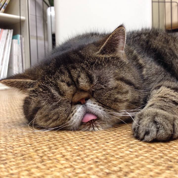 6db91b8d f132 4d15 aaf7 fc17717f8f33