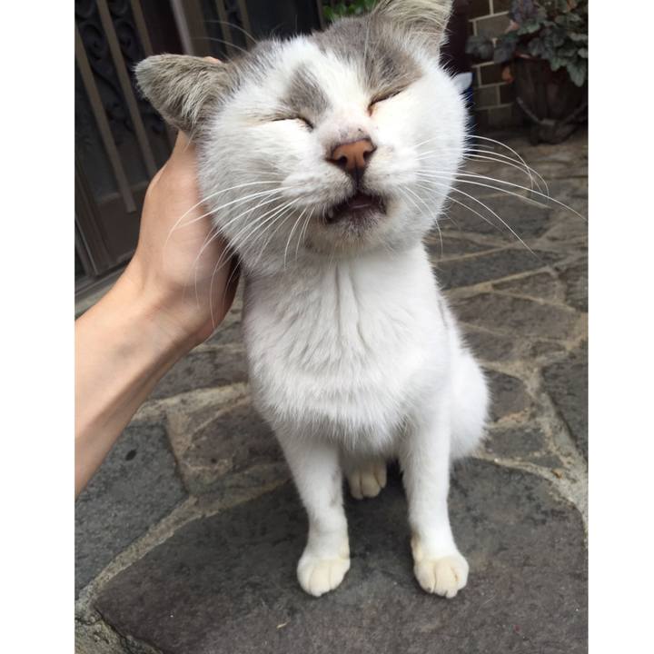 6db9419b 7763 4ff6 be8d 41c15794b7b9