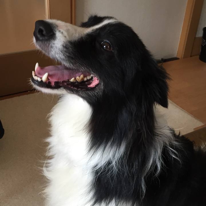 6db98abe 1571 4706 be1e eb76e04076b5