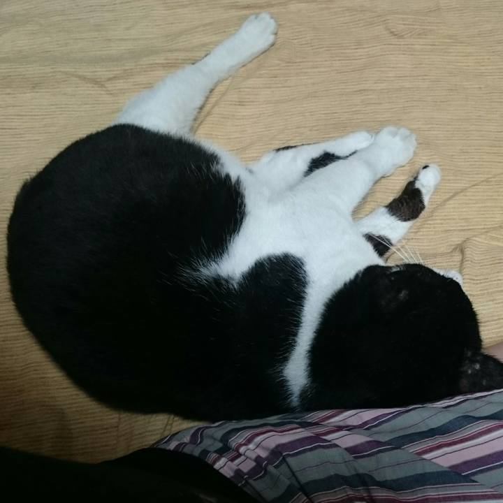 6db9d4b0 ce42 49dc b7fc e9dd83ad11ce