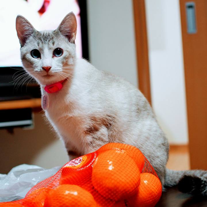 6dbc66e0 7043 444b b7c9 da2c53224d46