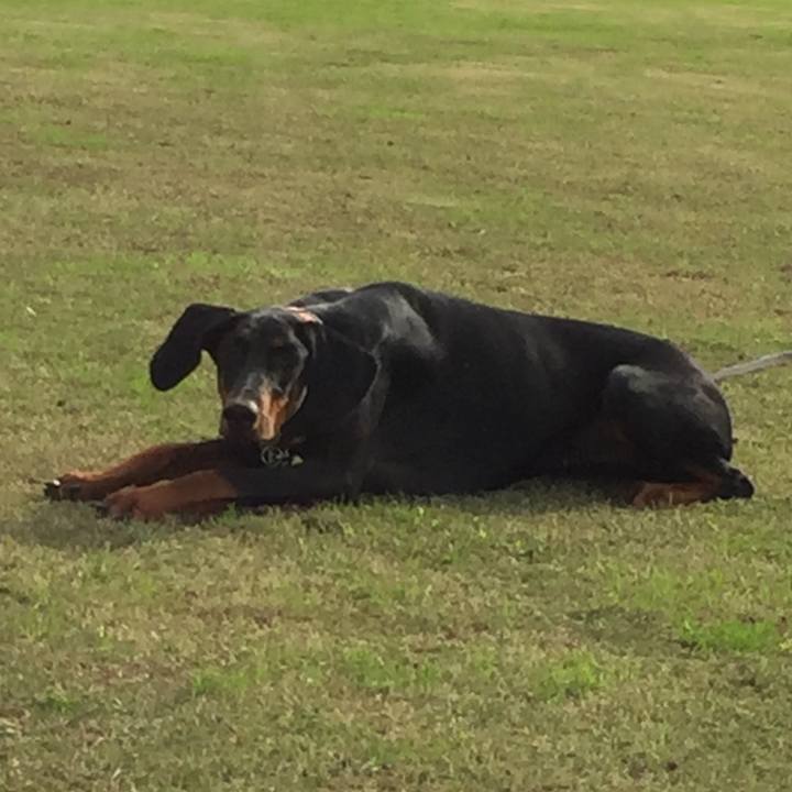 6dbd6afd 874a 4781 bb72 b3a3dc2d757b