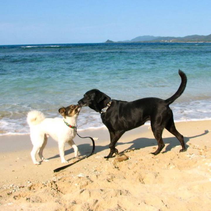 6dbdaca1 02be 42cb 94eb e45a9737648a