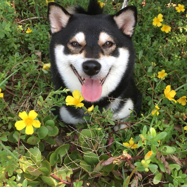 6dbdbf1b 8588 4ce9 aa82 eb13d99679f3