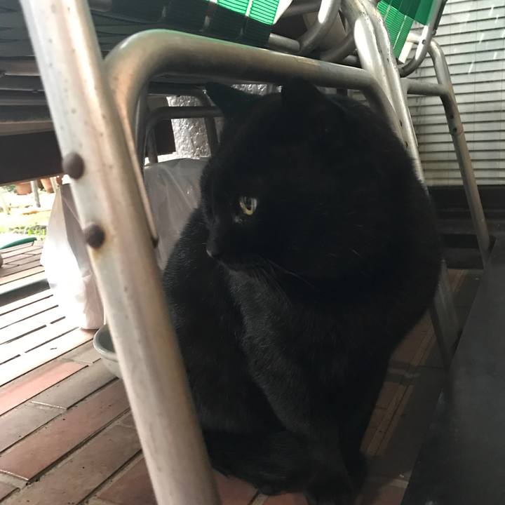 6dbde309 8fde 4e90 a9d2 8b631c33d298