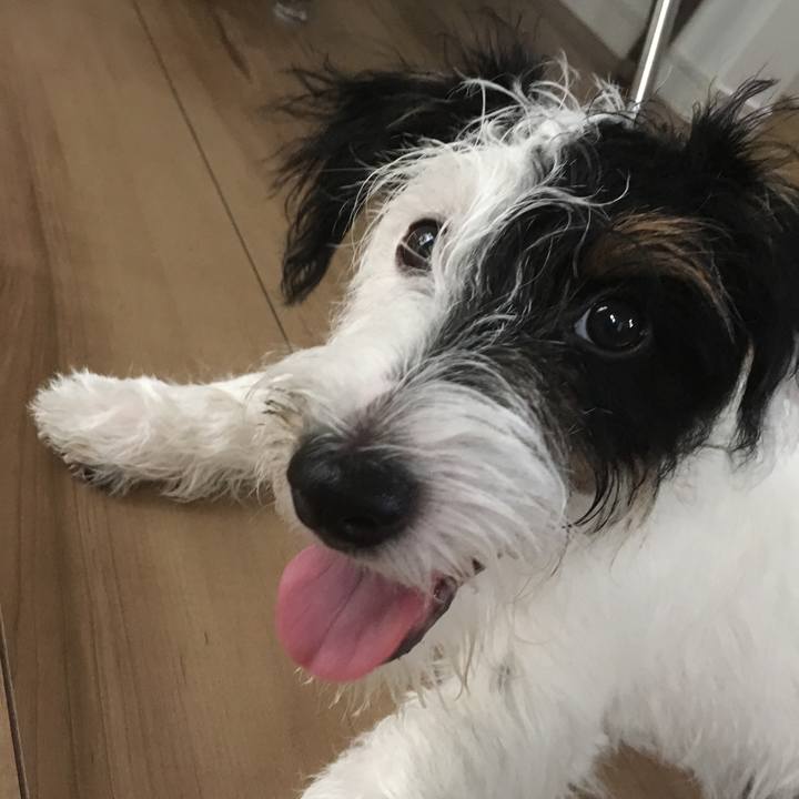 6dbe1eee 532f 42ef 9fce 5386d57471e9