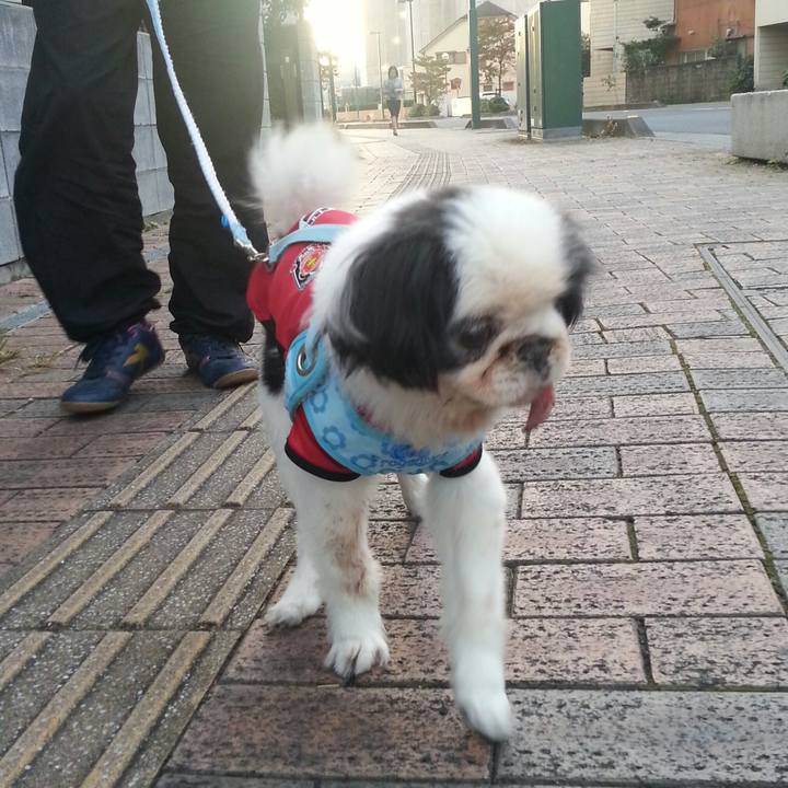 6dbe9f29 d10c 4d8a 897d 3f6697a35c94