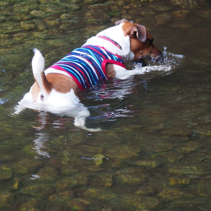 6dbeae80 001f 4170 af2a 7ca599817c4a