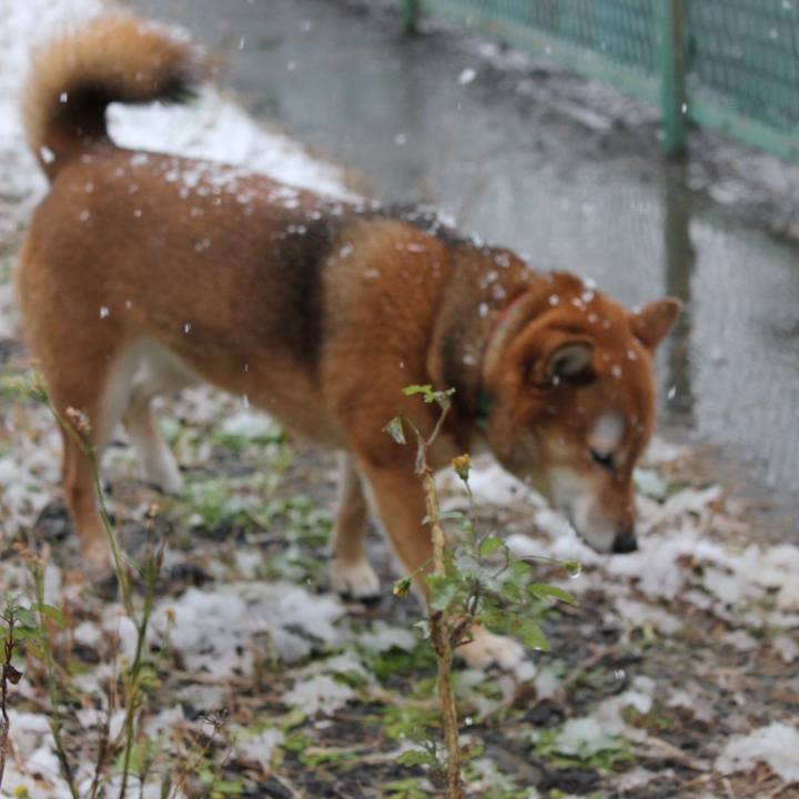 6dbefb1a 042e 4542 8ffa 9e145374fbf8