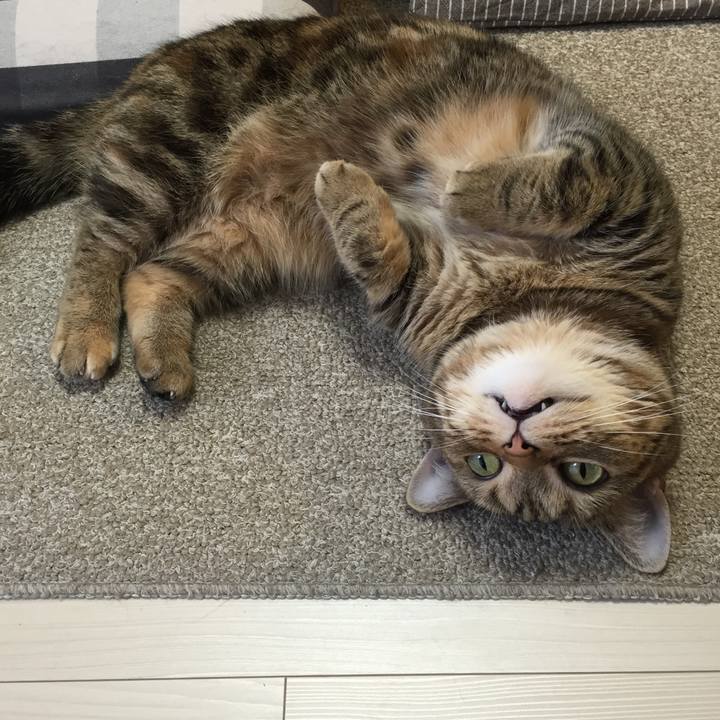 6dbf5f0d c07b 42d8 a76c a3679167de2f