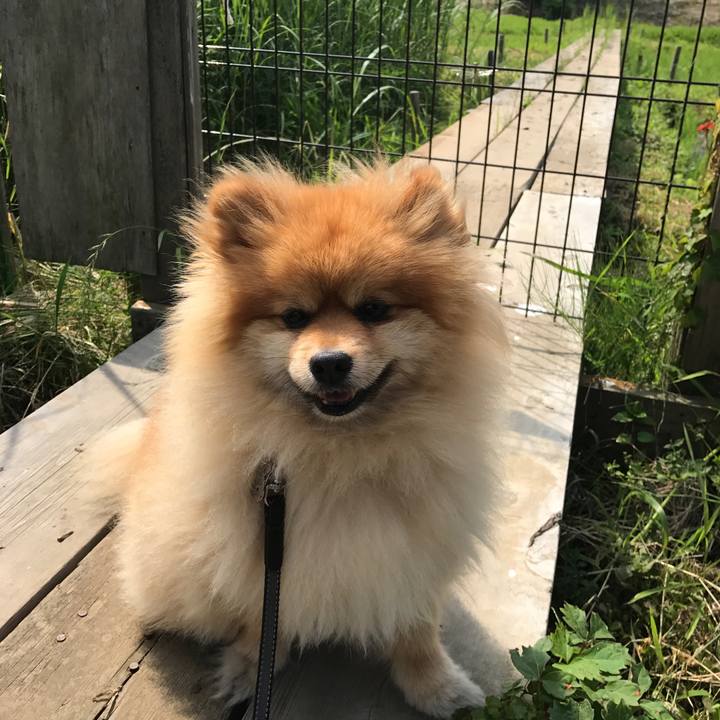 6dbf877b 161e 4cf9 b52f 55e61960830d