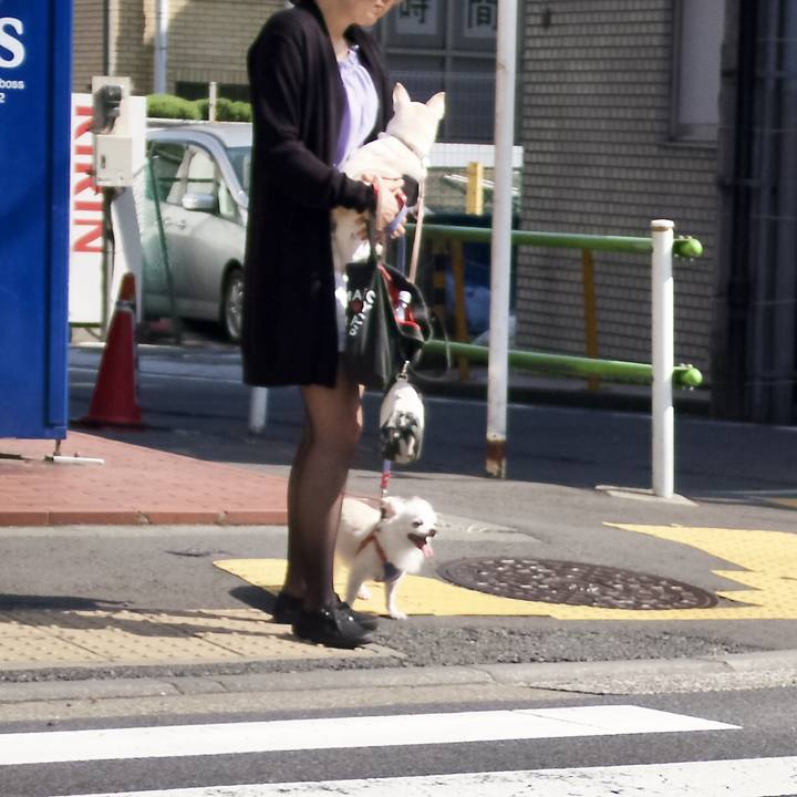 6dbfd648 a5a0 431c 8886 a7a97f0e7046