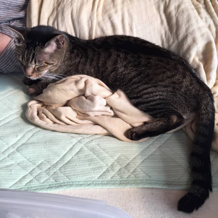 6dc10544 cf08 453d bcb5 3046efb00411