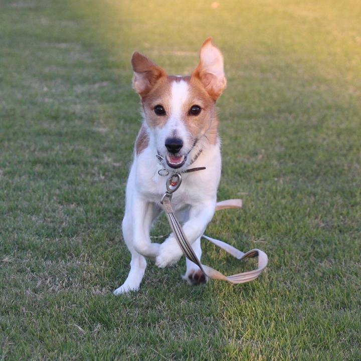 6dc18ead 15bf 4de0 828b ab825170339a