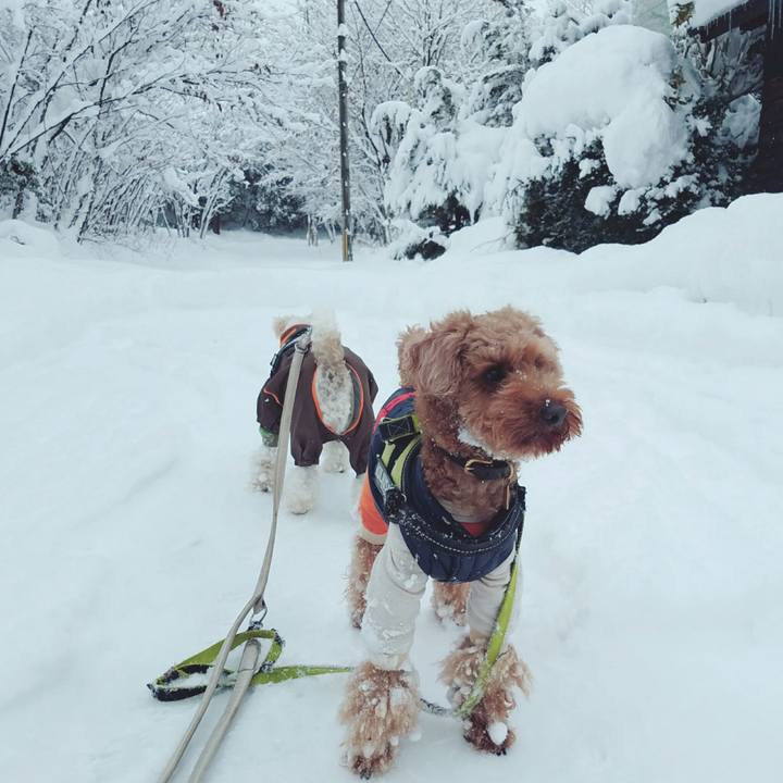 6dc24b8e 7db6 45da 8aa8 19ee4724c541