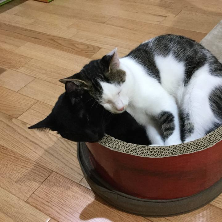 6dc30877 b20a 46c1 a45d 784a6b7cf90a