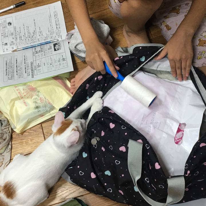 6dc35545 3937 4e39 a3e1 4728a84f732c