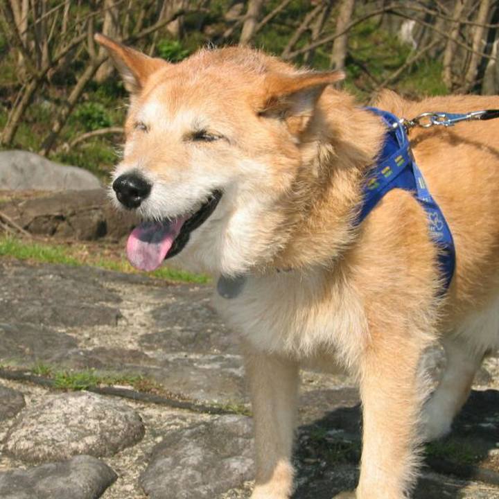 6dc3f7f8 8b7d 471b a811 a3af605f9f4c