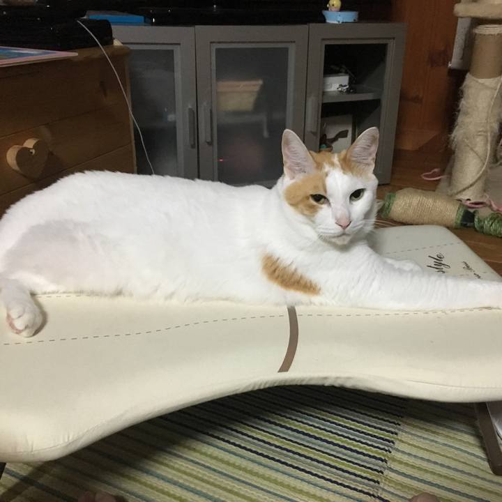 6dc47cb6 6cc5 4580 bb65 a9cc41c999a8