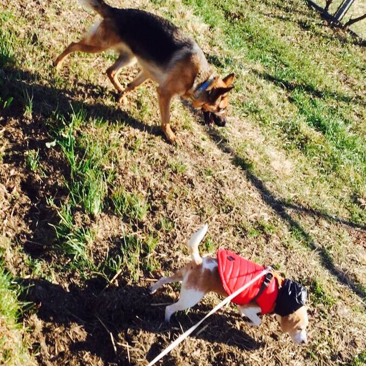 6dc59928 d2ef 41c4 b157 559c77bc6190