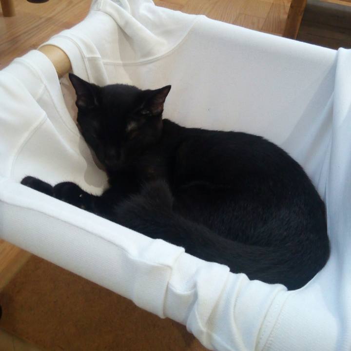 6dc5a97c 2278 4602 9a70 6d6a2777fc42