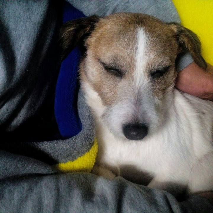 6dc5fb1a ca93 42a8 8fc3 a0afee0c9527