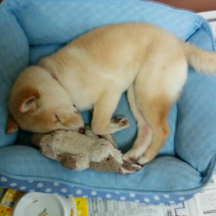 6dc6c423 f45d 4591 aeb6 71d3d7ca8178