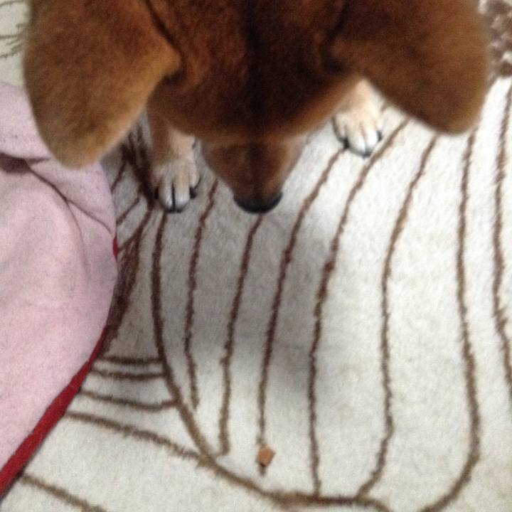 6dc6d544 2f5a 4eb6 8752 15290e74ae24