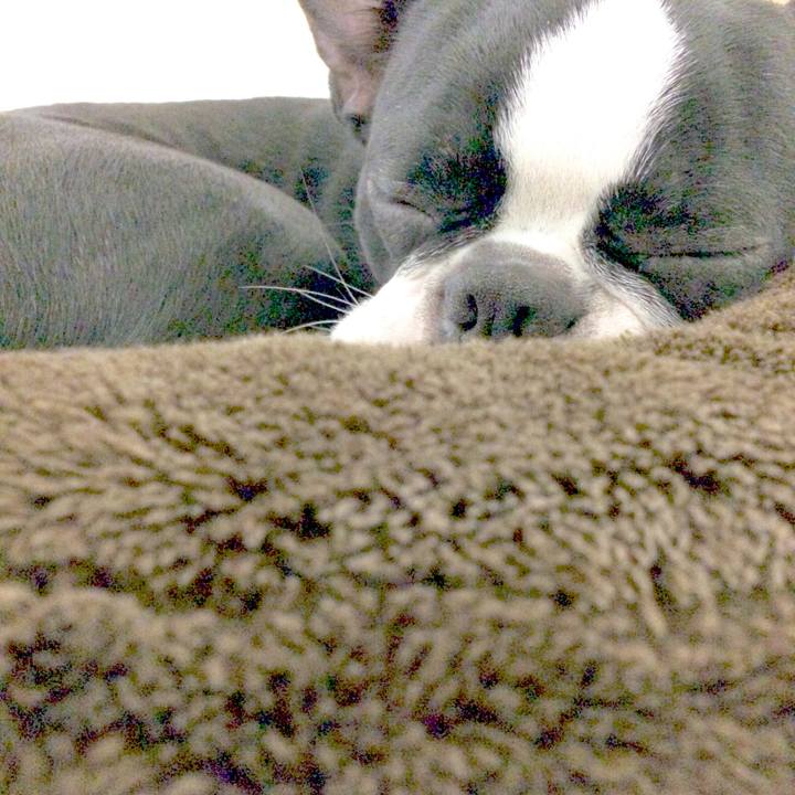 6dc70ddf 4e66 4486 bcc4 bdc4e9a0e203