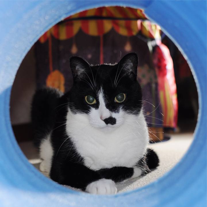 6dc7aed1 5763 43aa 9b00 67be2cabbf36