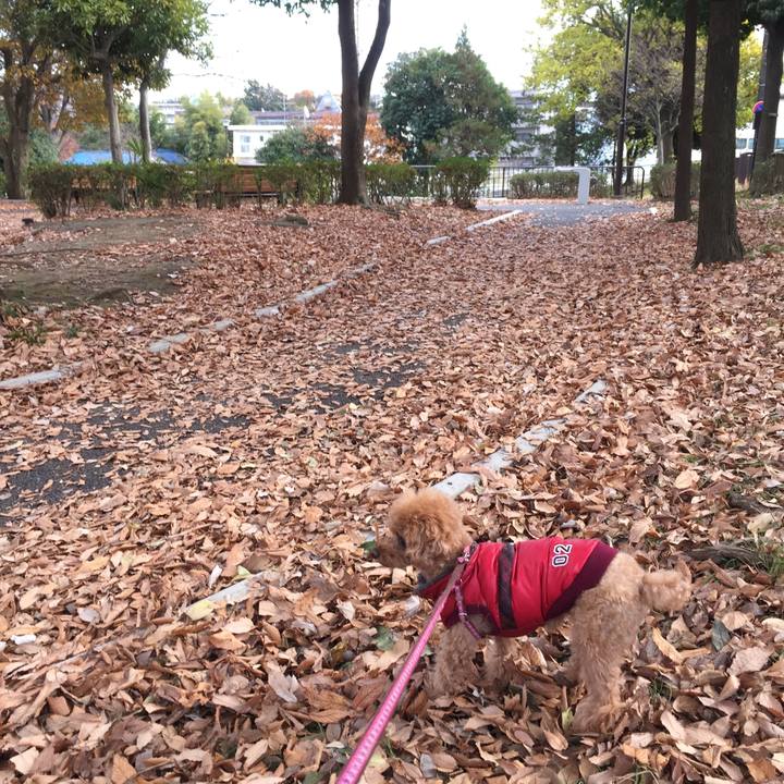 6dc83bf3 4373 48b8 ad7d 04443d416ad5