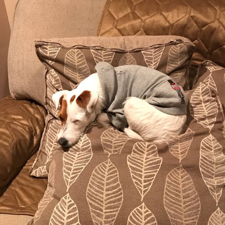 6dc85e27 f14d 4f15 b1c8 f6f1293fba13