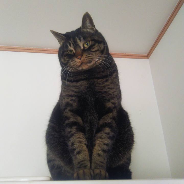 6dc8665c 1645 402d 9546 7dac4333327a