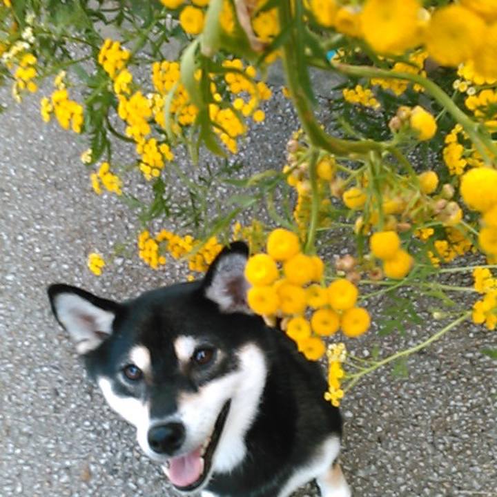 6dc991bc c446 4f39 8f76 564e3fba9f4c