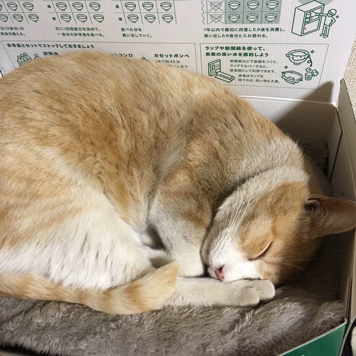 6dca2471 bf59 4de3 98fe 315321654ce7