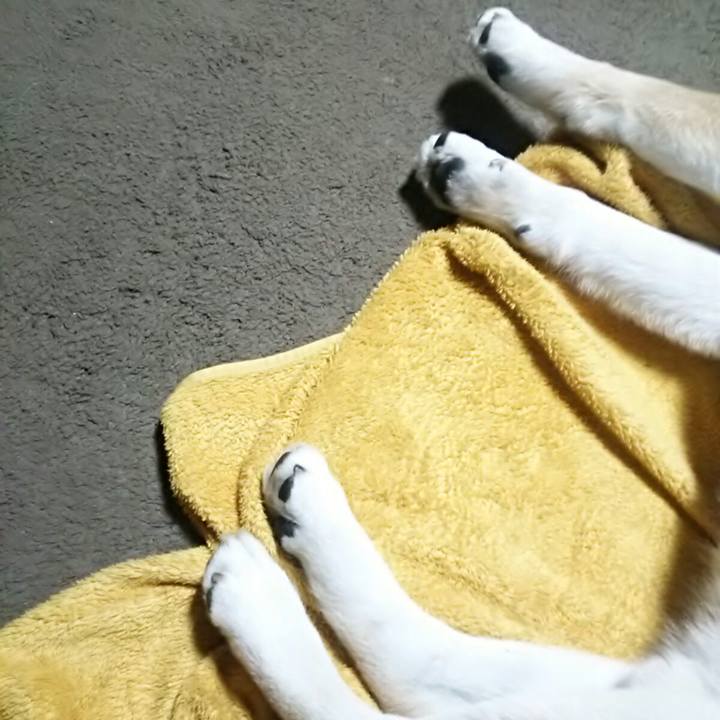 6dca3d3d a14e 4b2d a31f 49a65b9340d2