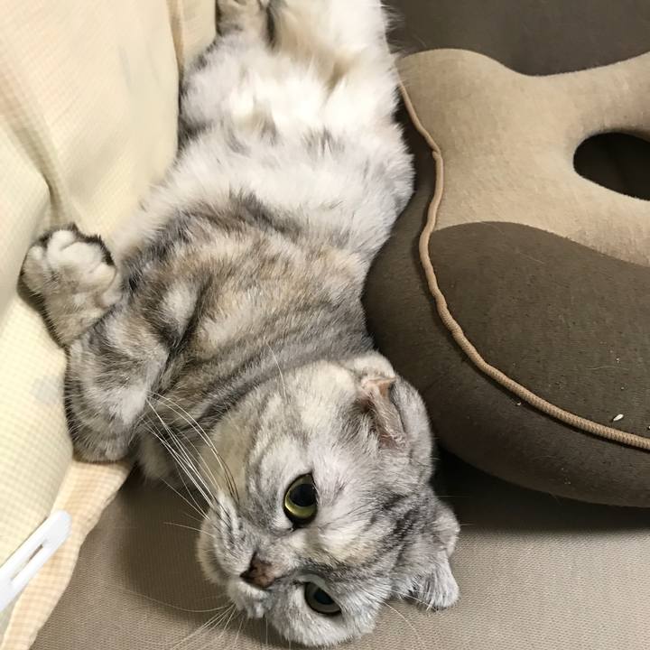 6dcbc831 d1dd 4ca6 86df 55fe64c01fd2