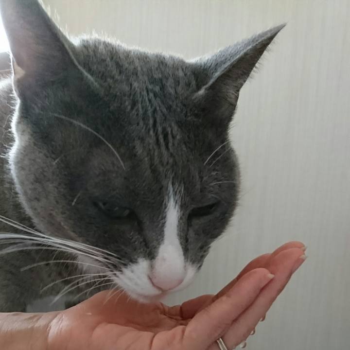 6dcc0471 e7a4 4481 8322 fe993adde9bc