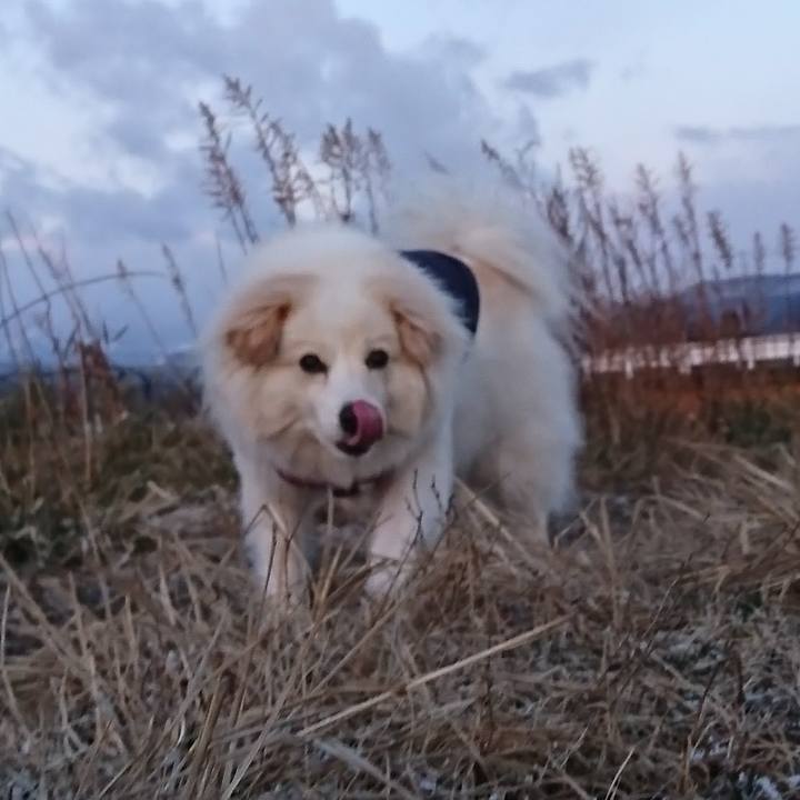 6dcd4390 7747 4f32 a57a 227b6035e864