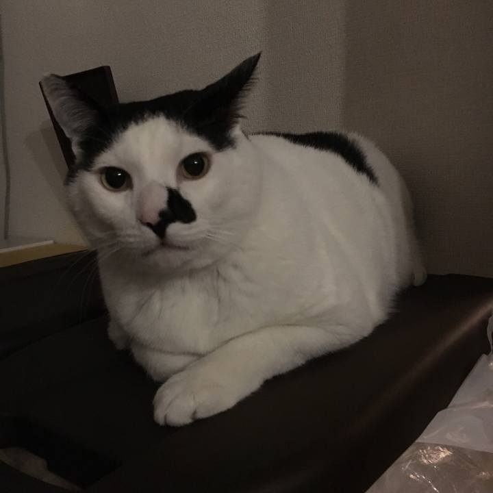 6dceca21 c2ba 4fda beea 9c9b4a95d7ae