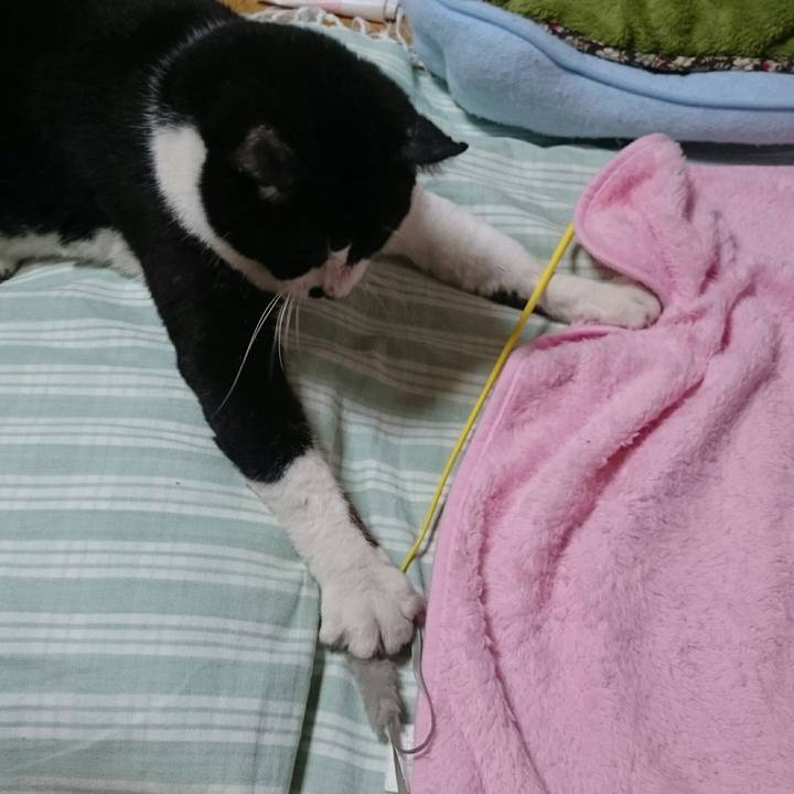 6dcf4955 2bd1 4cca a5e5 de19051b52b6