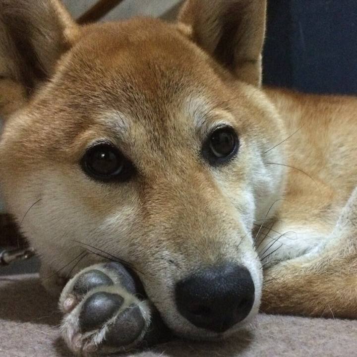 6dcf6247 ba5a 42a7 8d79 4acca3224b51