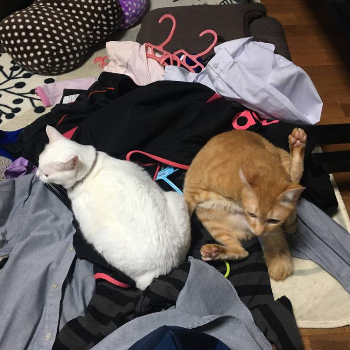 6dcf6c01 ea45 435d ad16 d8e61bfe811e