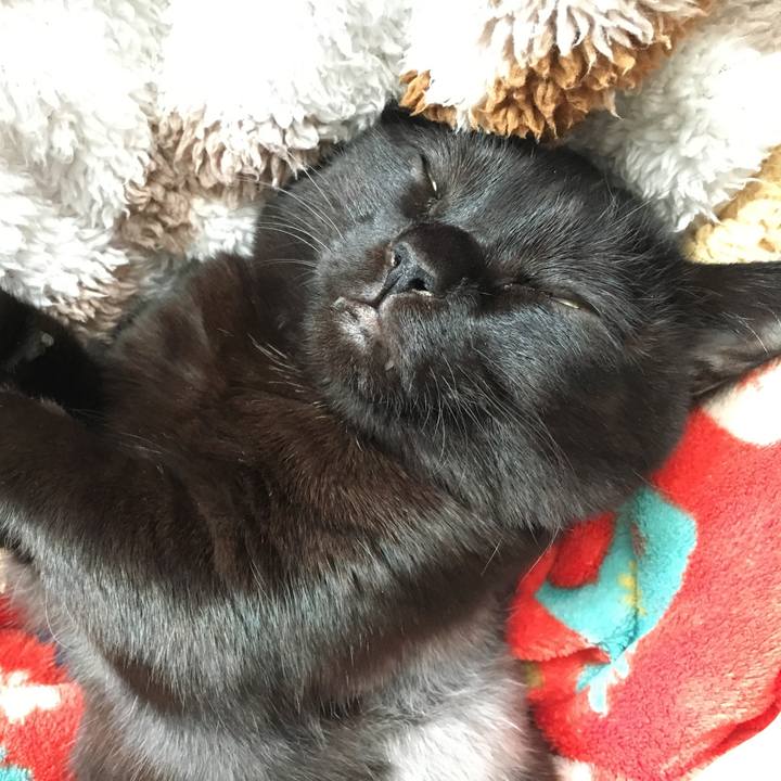 6dcf78fa 45e4 41f2 8d03 44266e29f612