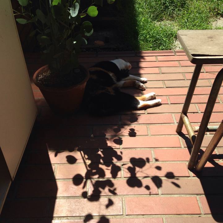 6dcf8df0 9a95 4bde 9d70 27d268b9341c